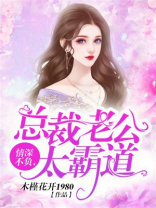 情深不负,总裁老公太霸道电视剧