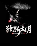 独断大明