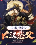 三国:我,曹家长子,大汉慈父!