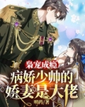 枭宠成瘾:病娇少帅的娇妻是大佬