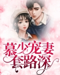 慕少宠妻套路深