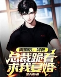 离婚后,冷艳总裁跪着求我复婚
