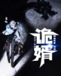 诡婿