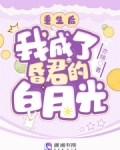 重生后,我成了昏君的白月光