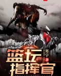 篮坛指挥官