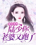 溺爱成婚,陆少你老婆又跑了