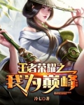 王者荣耀之我为巅峰