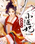 权宠天下:摄政王的小医妃