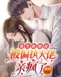 重生新婚夜,被偏执大佬亲疯了