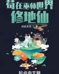 苟在巫师世界修地仙