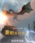兼职BOSS