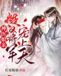 神医娘亲:糙汉将军宠上天