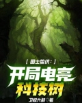 国士蛰伏:开局电亮科技树