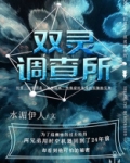 双灵调查所