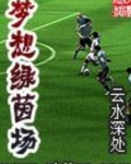 梦想绿茵场
