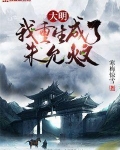 大明:我重生成了朱允炆