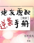 炮灰原配逆袭手册