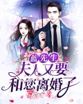 蓝先生:夫人又要和您离婚了
