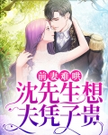 前妻难哄,沈先生想夫凭子贵