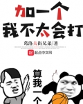 加一个,我不太会打