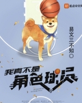我真不是角色球员