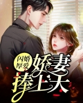 闪婚厚爱:娇妻捧上天
