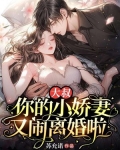 大叔,你的小娇妻又闹离婚啦