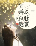 闪婚总裁太腹黑