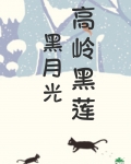高岭黑莲与黑月光