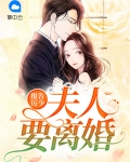报告厉少:夫人要离婚