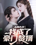 未婚先孕,我成了豪门赘婿