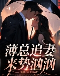 薄总追妻来势汹汹