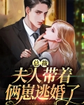 总裁,夫人带着俩崽逃婚了