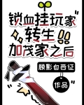 锁血挂玩家转生加茂家之后