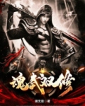 魂武双修
