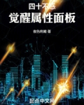 四十不惑,觉醒属性面板