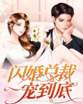 闪婚总裁一宠到底