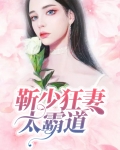 靳少狂妻太霸道