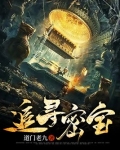 追寻密宝