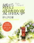 婚后爱情故事