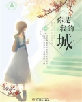 你是我的城