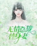 无情总裁替身妻