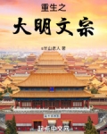 重生之大明文宗
