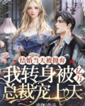 结婚当天被抛弃,我转身被亿万总裁宠上天