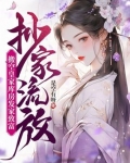 抄家流放,搬空皇家库房发家致富