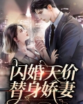 闪婚天价替身娇妻