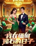 我在缅甸赌石的日子
