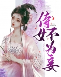 侍女不为妻