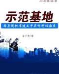 示范基地:国务院批准建立中关村科技园区