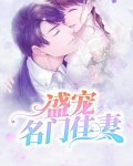 盛宠名门佳妻
